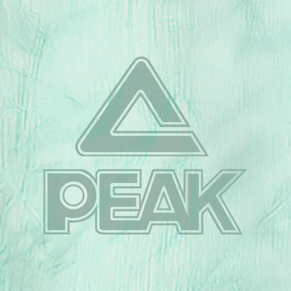 Chaleco Térmico PEAK Mujer FW4244002