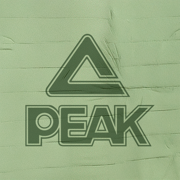 Chamarra Térmica PEAK Mujer FW5244177-1