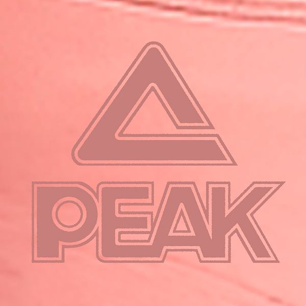 Top Deportivo PEAK Mujer FW6244242-1