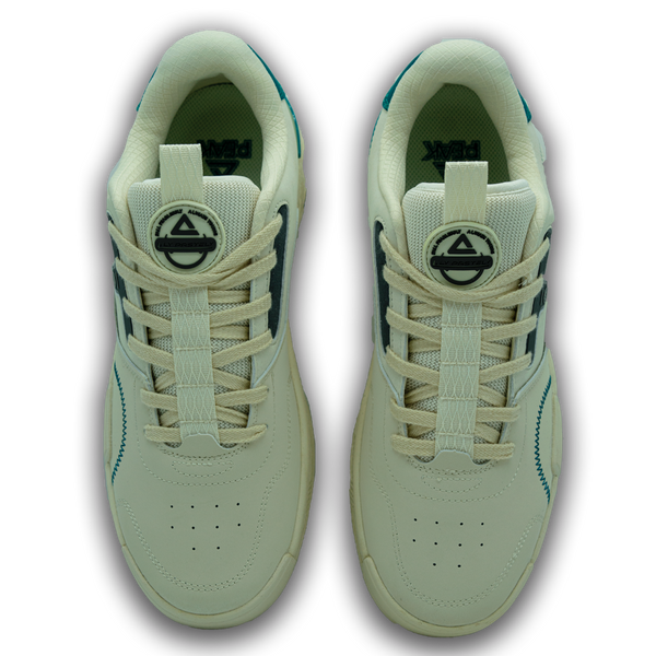 Tenis Casual PEAK-TAICHI Hombre ET23337B-1